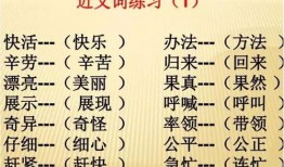 二唱竹石爆料视频大全,揭秘幕后故事与精彩瞬间